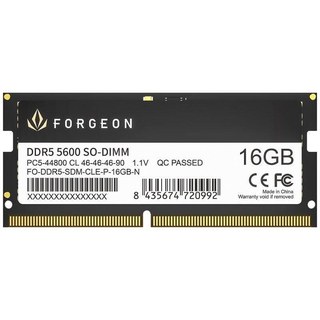 Mémoire RAM Forgeon Cyclone PRO 16 Go 1X16GO DDR5 5600 MHz CL46 Noir