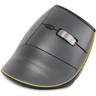 Souris BakkerElkhuizen FastForward Sans Fil Bluetooth USB-C 500 DPI Gris Ergonomique
