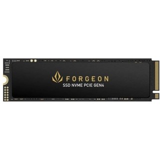 Disque Dur Forgeon Nimbus 1 To SSD NVMe PCIe 4.0 6400 Mo/s M.2 2280