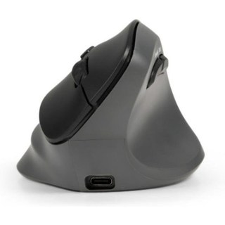 Souris BakkerElkhuizen PRF Pro Sans Fil USB-C 2400DPI Noir Gris Vertical Rechargeable