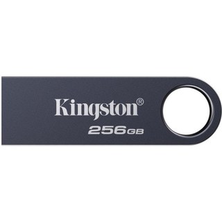 Clé USB Kingston DataTraveler SE9 G3 256 Go USB 3.2 Gen 1 Métal
