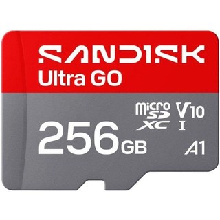 Carte mémoire SanDisk Ultra GO 256 Go UHS-I 190MB/s V10 Gris Rouge