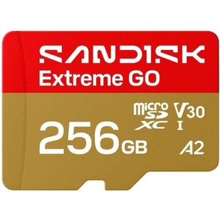Carte microSD SanDisk Extreme GO 256 Go UHS-I 240 MB/s U3 V30 A2