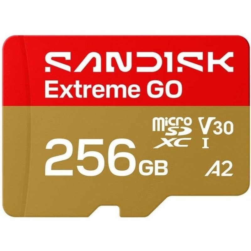 Carte microSD SanDisk Extreme GO 256 Go UHS-I 240 MB/s U3 V30 A2