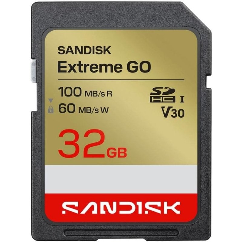 Carte mémoire SanDisk Extreme GO 32 Go UHS-I 100MB/s V30 U3
