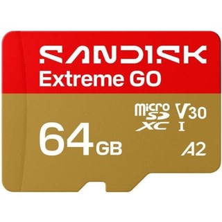 Carte mémoire SanDisk Extreme GO 64 Go UHS-I 170 MB/s U3 V30 A2