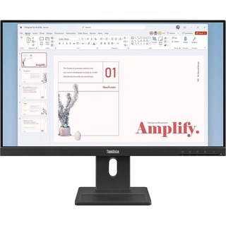 Lenovo 23.8" LED - ThinkVision E24-40