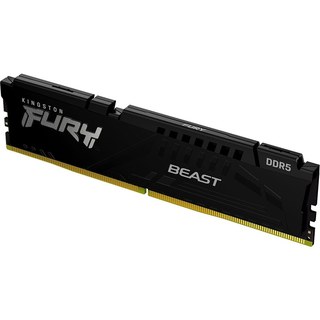 Kingston FURY Beast 16 Go DDR5 5600 MHz CL36
