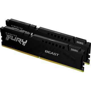 Kingston FURY Beast 16 Go (2 x 8 Go) DDR5 5600 MHz CL36