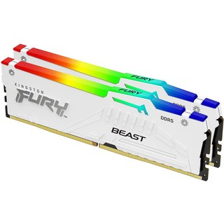 Kingston FURY Beast RGB 32 Go (2 x 16 Go) DDR5 5600 MHz CL36