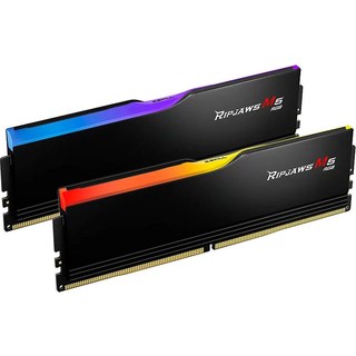 G.Skill Ripjaws M5 RGB 32 Go (2 x 16 Go) DDR5 6000 MHz CL32