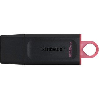 Kingston DataTraveler Exodia 256 Go