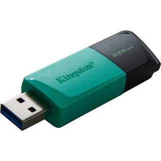 Kingston DataTraveler Exodia M 256 Go