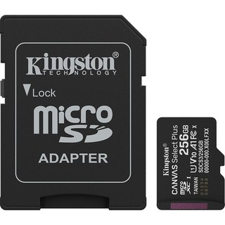 Kingston Canvas Select Plus SDCS3/256 Go