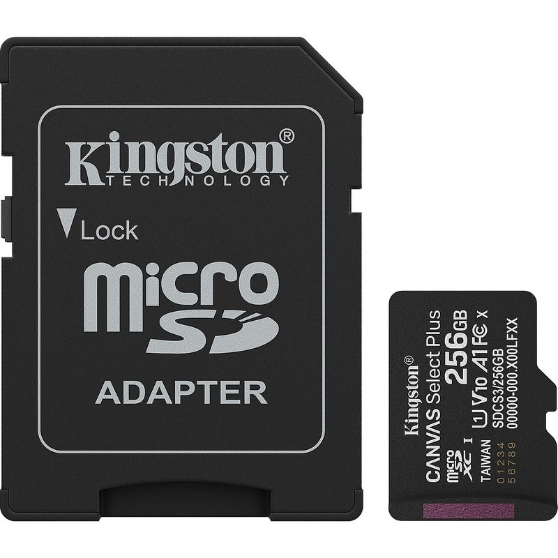 Kingston Canvas Select Plus SDCS3/256 Go