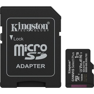 Kingston Canvas Select Plus SDCS3/1 To