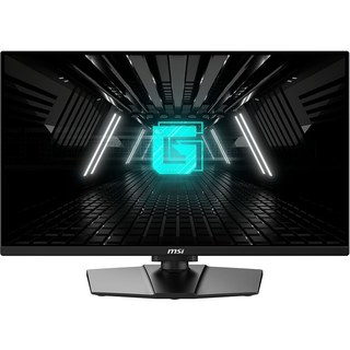 MSI 24.5" LED - G255PF E2
