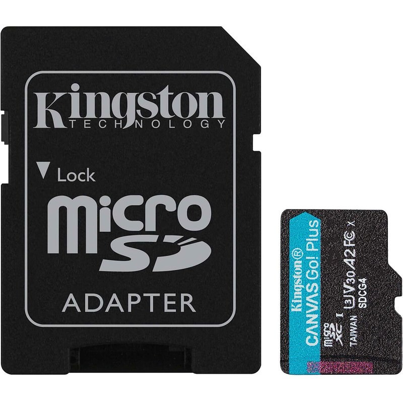 Kingston Canvas Go! Plus Gen 4 SDCG4/256 Go