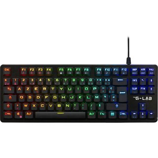 The G-Lab Keyz Platinum TKL
