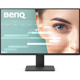 BenQ 23.8" LED - GW2491