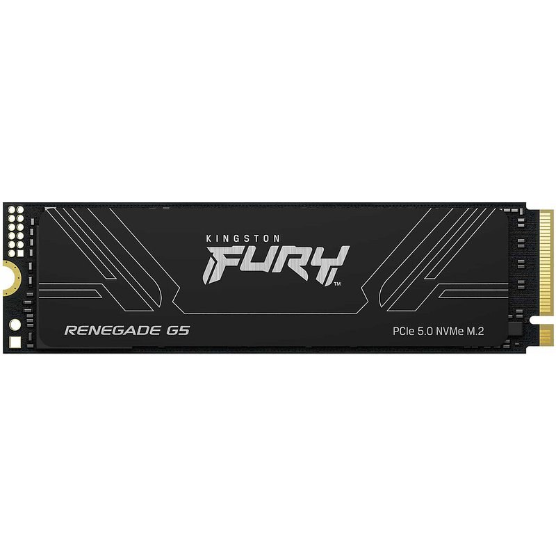 Kingston FURY Renegade G5 4 To