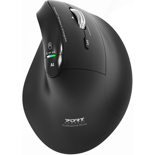 PORT Connect Ergo Auditor