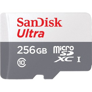 SanDisk Ultra microSDXC 256 Go