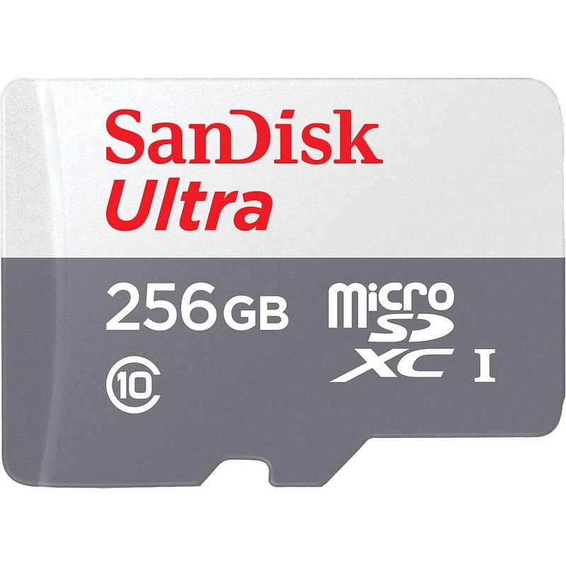 SanDisk Ultra microSDXC 256 Go