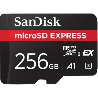 SanDisk Express microSDXC 256 Go