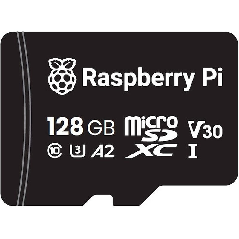 Raspberry Carte micro-SD 128 Go avec Noobs