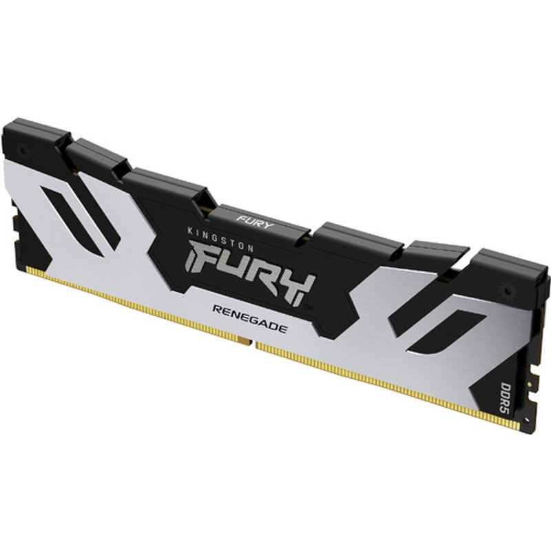 Kingston DDR5 24 Go 7200MT/s CL38 Dimm Fury Renegade Argent Xmp