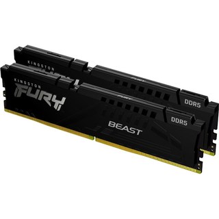 Kingston FURY Beast 32 Go (2 x 16 Go) DDR5 5600 MHz CL36