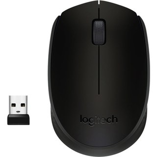 Logitech M171 Wireless Mouse (Noir)